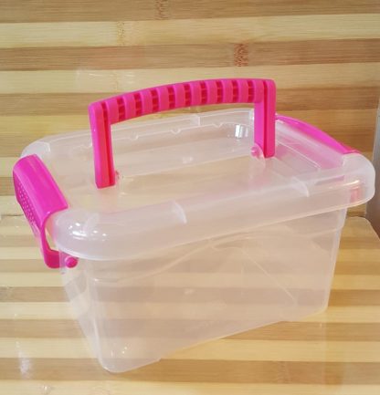 caja de plastico con tapa y manija 28x19